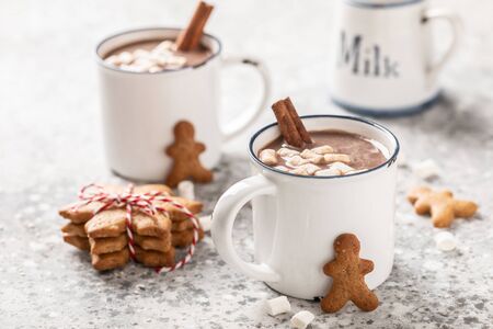Hot chocolate or cocoa drink with milk and marshmallows.の写真素材