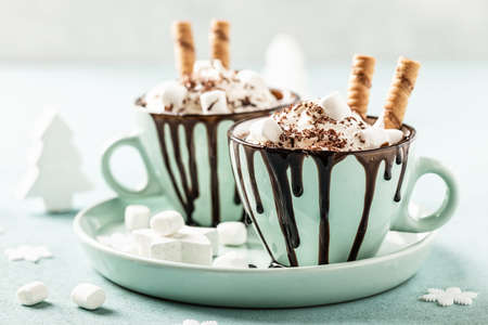 Hot chocolate or eggnog. Festive dessert with whipped cream or ice cream and chocolateの写真素材