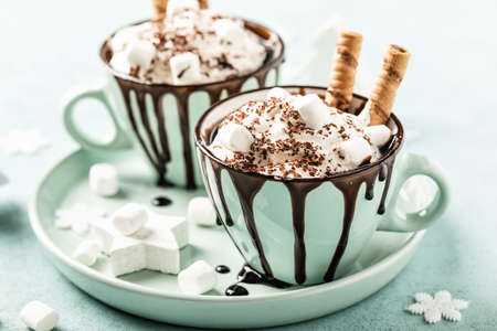 Hot chocolate or eggnog. Festive dessert with whipped cream or ice cream and chocolateの写真素材