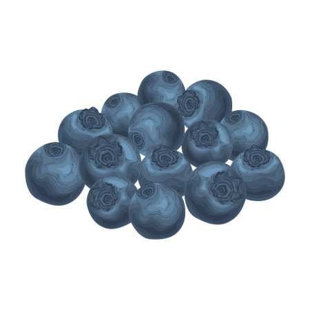 element blueberry vector fruit berries health summer berry spring tropical antioxidant cartoon blueのイラスト素材