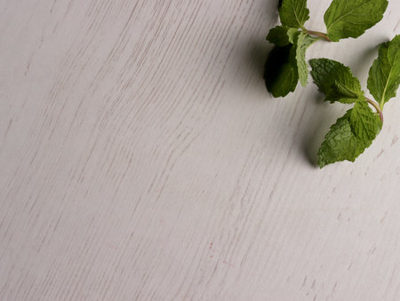 fresh mint leaves peppermint spice leaf plant antioxidant vegan business photo health herb food artの写真素材