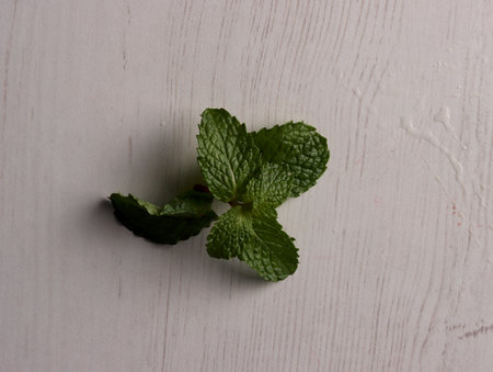 fresh mint leaves peppermint spice leaf plant antioxidant vegan business photo health herb food art