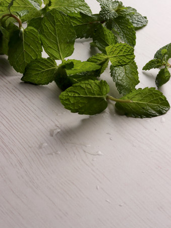 fresh mint leaves peppermint spice leaf plant antioxidant vegan business photo health herb food artの写真素材