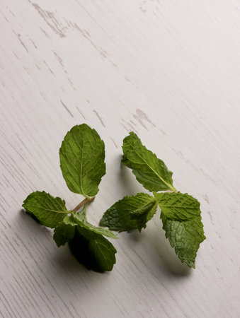 fresh mint leaves peppermint spice leaf plant antioxidant vegan business photo health herb food art