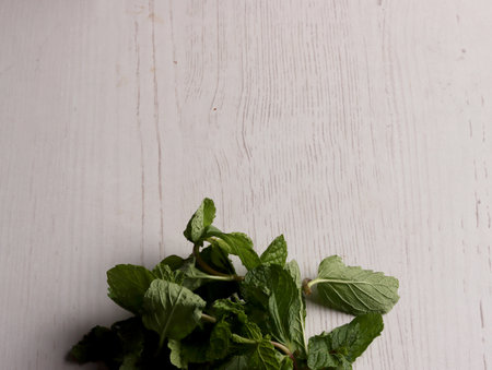 fresh mint leaves peppermint spice leaf plant antioxidant vegan business photo health herb food artの写真素材