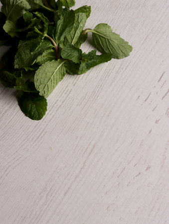 fresh mint leaves peppermint spice leaf plant antioxidant vegan business photo health herb food artの写真素材