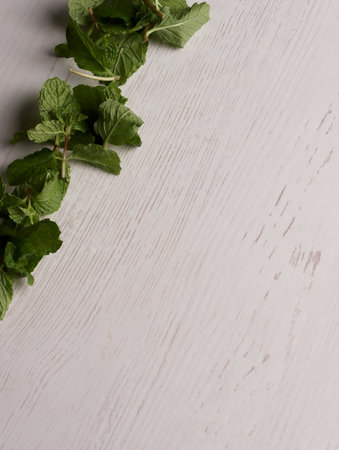 fresh mint leaves peppermint spice leaf plant antioxidant vegan business photo health herb food artの写真素材