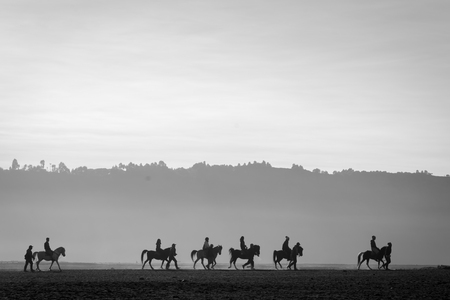 Silhouette of a group of horse riders at Bromoの写真素材
