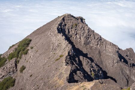 An extreme track to Raung mount summit called 'Puncak Sejati'. Raung is the most challenging of all Javaâs mountain trails, also is one of the most active volcanoes on the island of Java in Indonesia.の写真素材