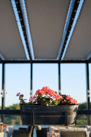 Floral arrangement with pink geranium flowers.Summer flower arrangementの写真素材