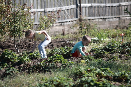 little boy and girl working in the gardenの写真素材