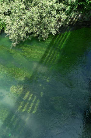 The shadow of the bridge cuts the river. Green, aquatic plants carried by the flow. The banks of the river covered with dense vegetation. Powerful water currents create  wave. The bridge over the rapid river.の写真素材