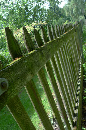Old wooden fence as a boundary. The fence stretches the whole lengt  of the garden. Mosses and lichens on the pillars testify to age. Around the fence, there is a life in the garden.の写真素材