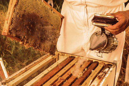 Beekeeping toolの写真素材