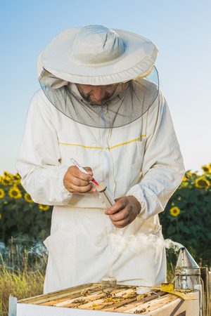 A beekeeper in veil at apiary among hives.の写真素材