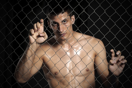 Mixed martial arts fighter in the cageの写真素材