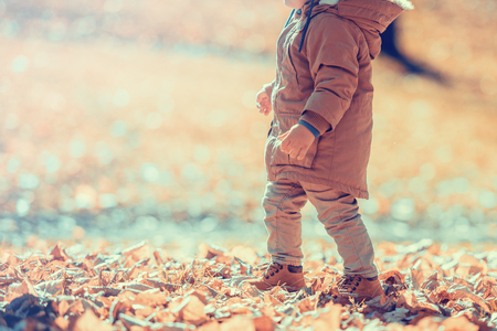 Cute little boy having fun in the park.の写真素材