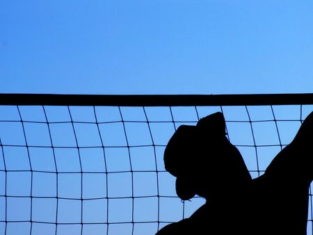 The volleyballの写真素材