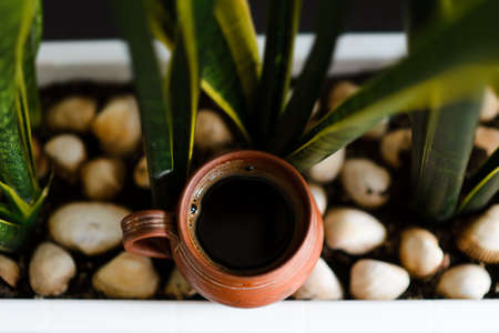 A cup of hot coffee on the table near plantsの写真素材