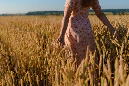 Back view of a woman walking in the middle of the rye in a field with outstretched armsの写真素材