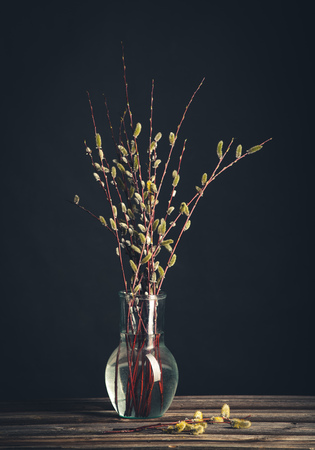 Willow branch in transparent glass vase on wood tableの写真素材
