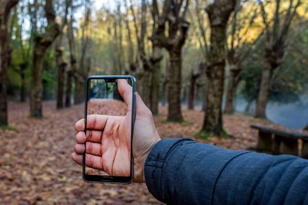 optical effect with a smartphone in the autumnal woodsの写真素材