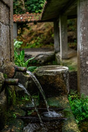 Old fountain poursing water from two spouts in the woods