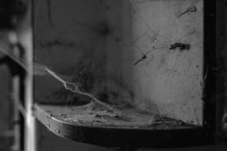 Spiders web on a kitchen cabinet in a abandoned country houseの写真素材