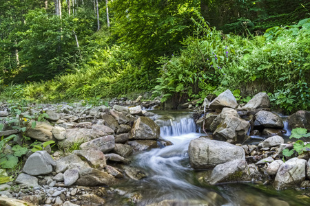Mountain river in the forestの写真素材
