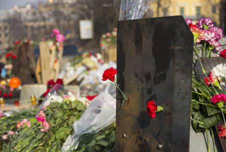 Kyiv, Ukraine - February 24, 2014   Flowers in the shield in memory of those killed on Euromaidan 