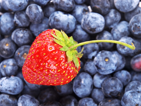Strawberry on blueberries backgroundの写真素材