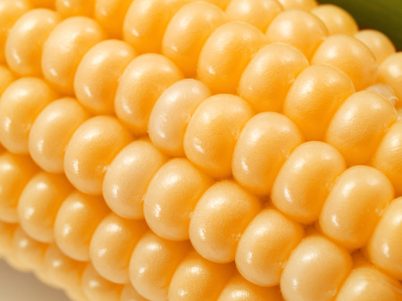 White Corn