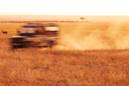 Safari Jeep moving fast in the dust, looking for wild animals in Masai Mara, Kenya