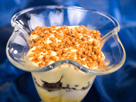 Homemade vanilla creamの写真素材