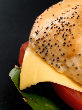 Veggie Burgerの写真素材