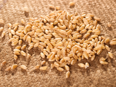 Grainの写真素材