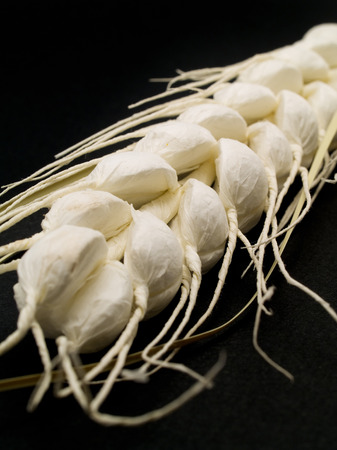 Artificial Wheatの写真素材