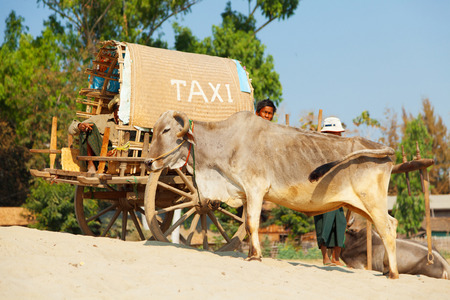 Mingun, Myanmar - February 28, 2011 : Three burmese men waiting for tourists in Mingun to give them an exotic taxi driveのeditorial素材