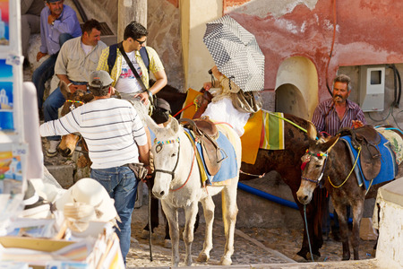 Fira, Greece - May 03, 2012 : Local Greek men riding donkeys - tourists enjoy  riding a donkey instead of climbing the 600 steps to the top of the village; Tourists are looking at them curiosly.のeditorial素材
