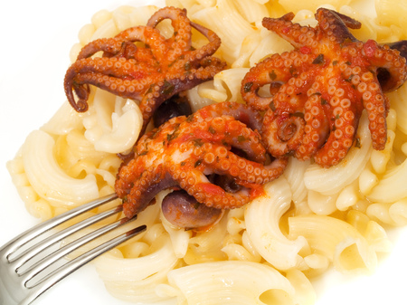Macaroni With Octopusの写真素材