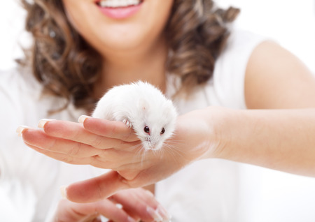 White mouse in female hands isolated on whiteの写真素材