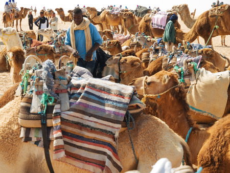Sahara, Tunisia - May 04, 2009: Camels caravan in Sahara. The animals are resting while one tunisian is walking among themのeditorial素材