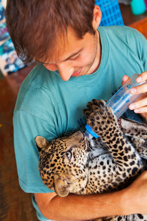 Man feeding baby leopard in the street of Kanchanaburi, Thailandの写真素材