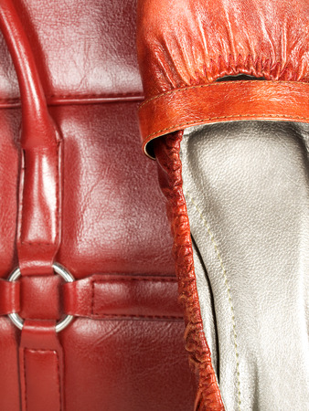 Shoes and a handbagの写真素材