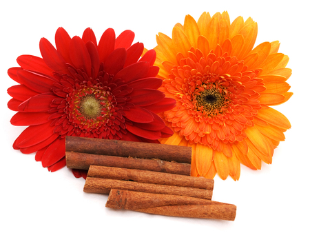 Aromatherapy close-upの写真素材