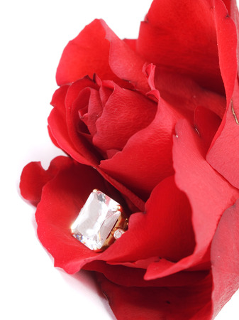 Engagement Ring with red roseの写真素材