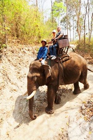 Chian Mai, Thailand - March 07, 2011 : Tourists enjoying elephant ride with a local Thai man in Maesa elephant campのeditorial素材