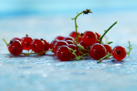 A sprig of juicy tasty red currant lise on table close-upの写真素材