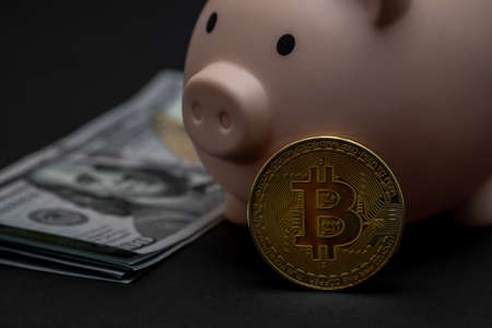 Pink piggy bank, stuck of dollars and bitcoin coin on a black background. The future of virtual money currency, account security, investment in cryptocurrency.の写真素材