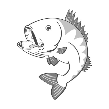 black and white fishのイラスト素材